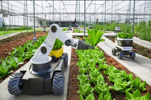 AGRICULTURE & INTEGRATED INVESTMENTS